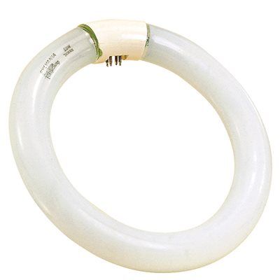 【本物新品保証】 Circline Hygrade Satco Fluorescent 62 4100K Watts 40 T9 Lamp ギター