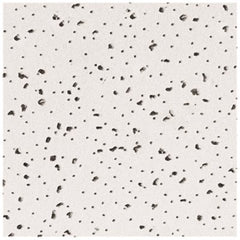 Usg R2310 Radar Ceiling Tile' 2X4 Ft. X 5/8 In.' 8 Tiles Per Box