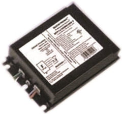 39101902
